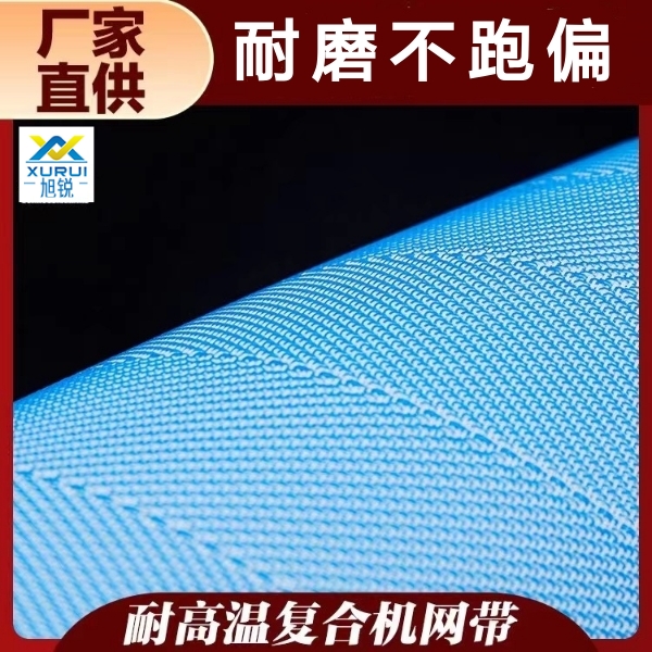 聚酯復合機網帶