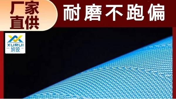 聚酯復合機網帶-耐高溫耐磨損防止跑偏[旭瑞網業]